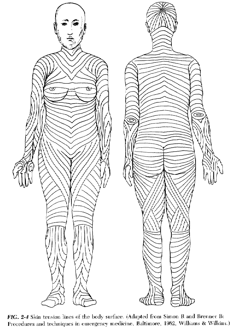 Body Skin Tension Lines
